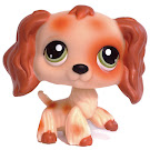 Littlest Pet Shop Special Spaniel (#No #) Pet