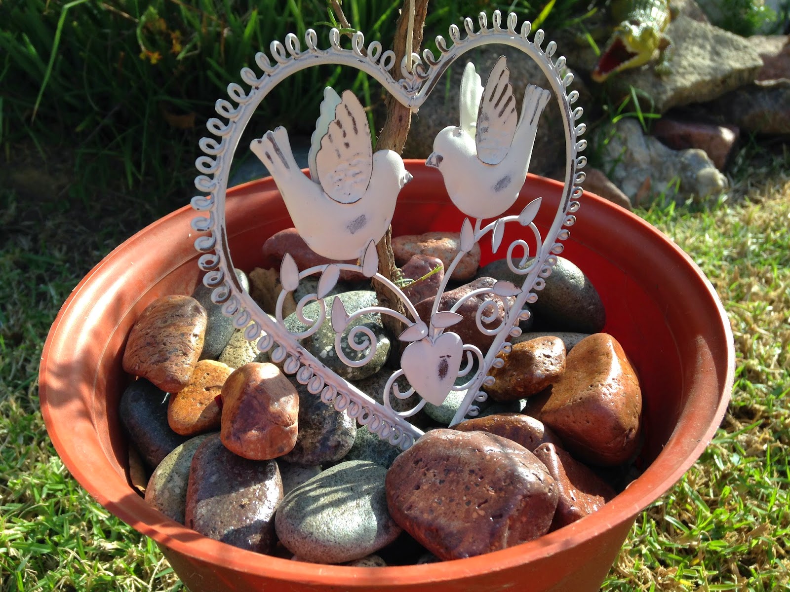 Las hay de todos colores y formas, esto nos da una idea de que