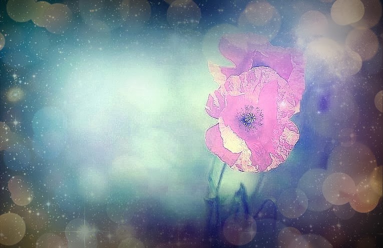 Gedichte Unter Der Laterne Dezember 2013