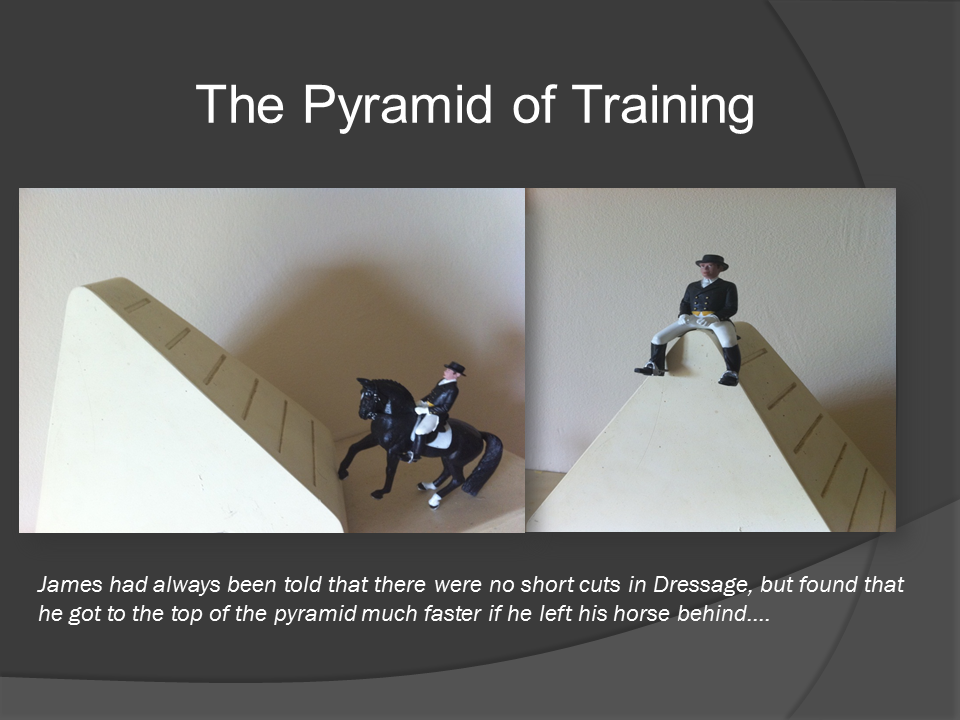 Ridden Horse Behaviour