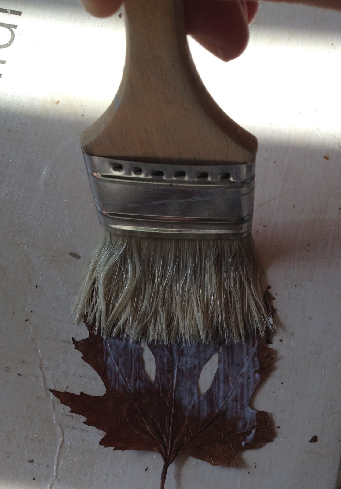 Susan Marie : Preserving & Framing Autumn Leaf Tutorial