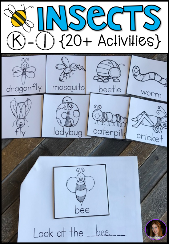Insects 20+ Activities for Kindergarten - Kindergarten Rocks Resources