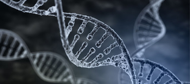 ADN y biologia