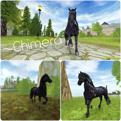 Star Stable z Veroszką!