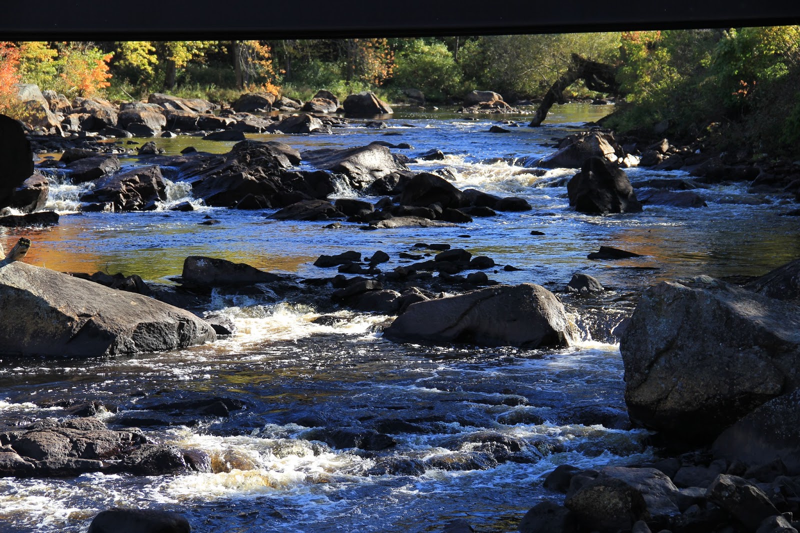 bonesoflife Harrisville, NY. Oswagatchi River Beauty