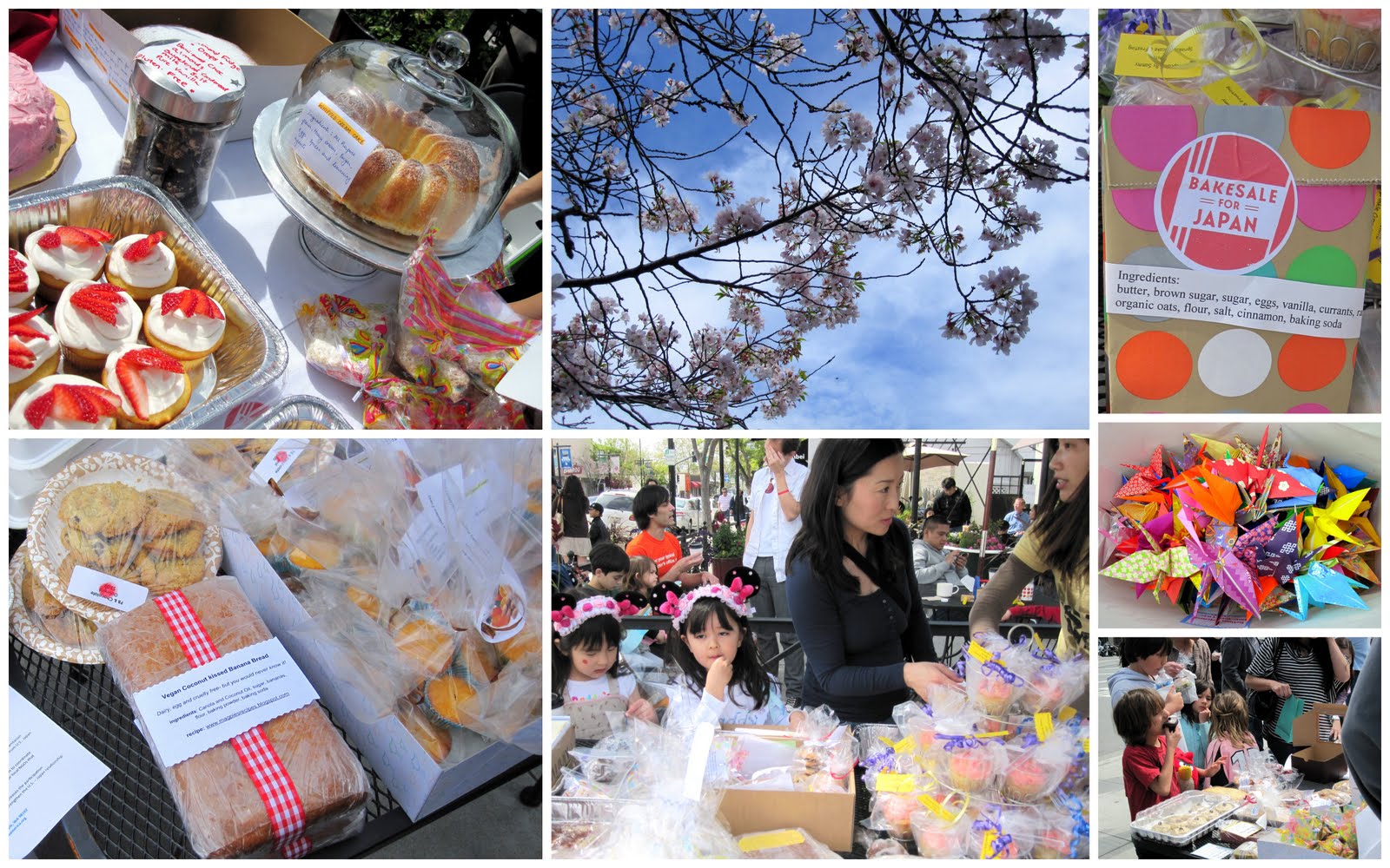 Magpie's Recipes Dairy Free Fruit & Nut Bars Quick and Easy one bowl