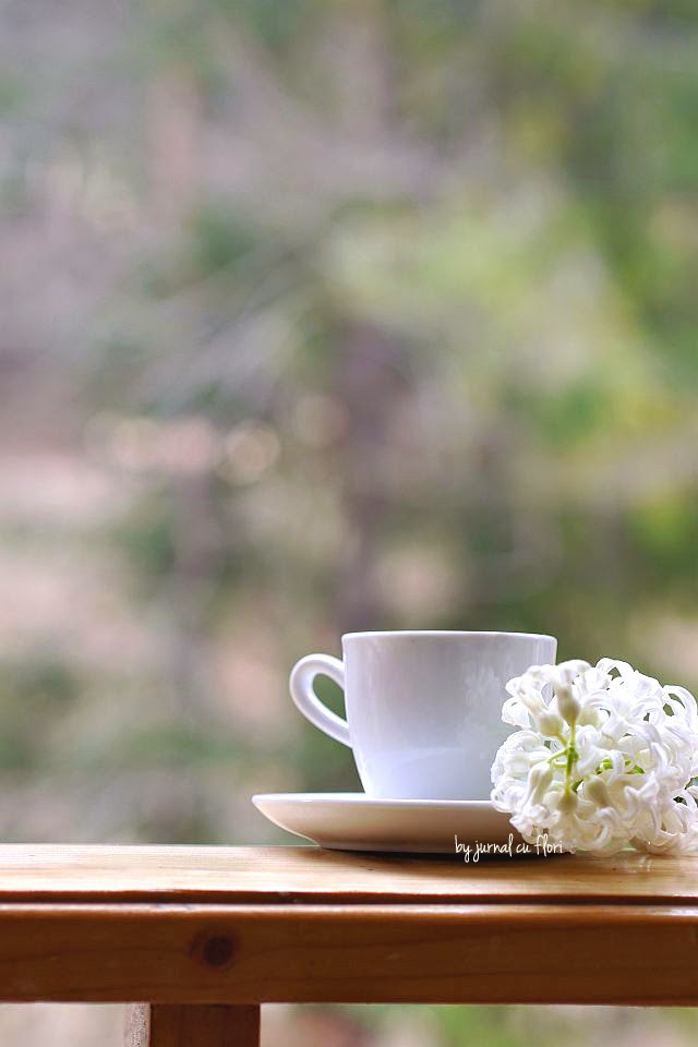 cup of coffee flower  ceasca cafea zambila floare alba white hyacinth   pe pervaz cabana padure wordless wednesday miercurea fara cuvinte