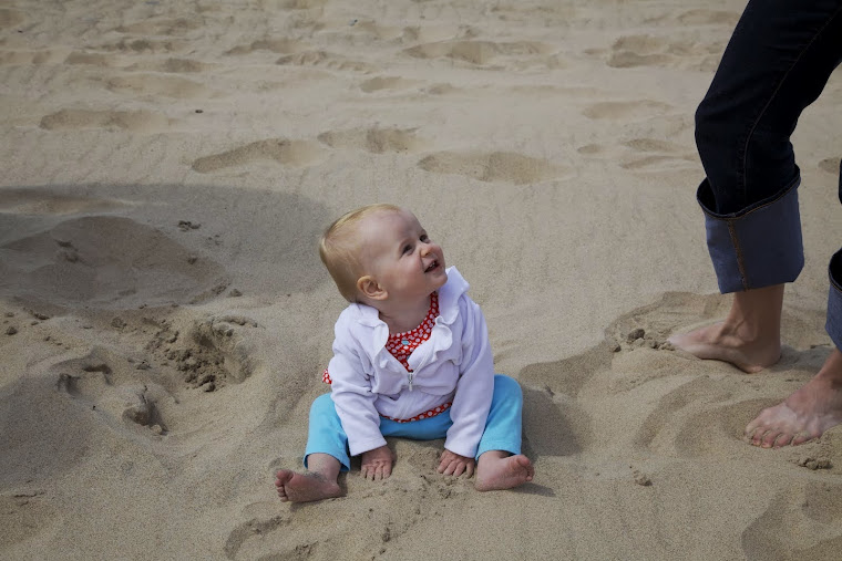 A grand natural sandbox