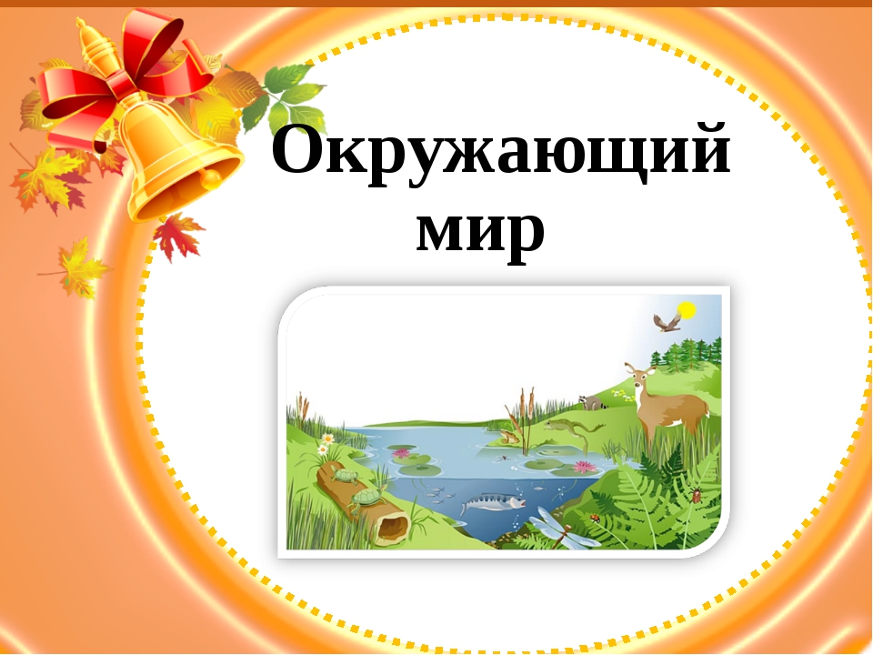 Титульный лист на проект по окружающему миру 2 класс