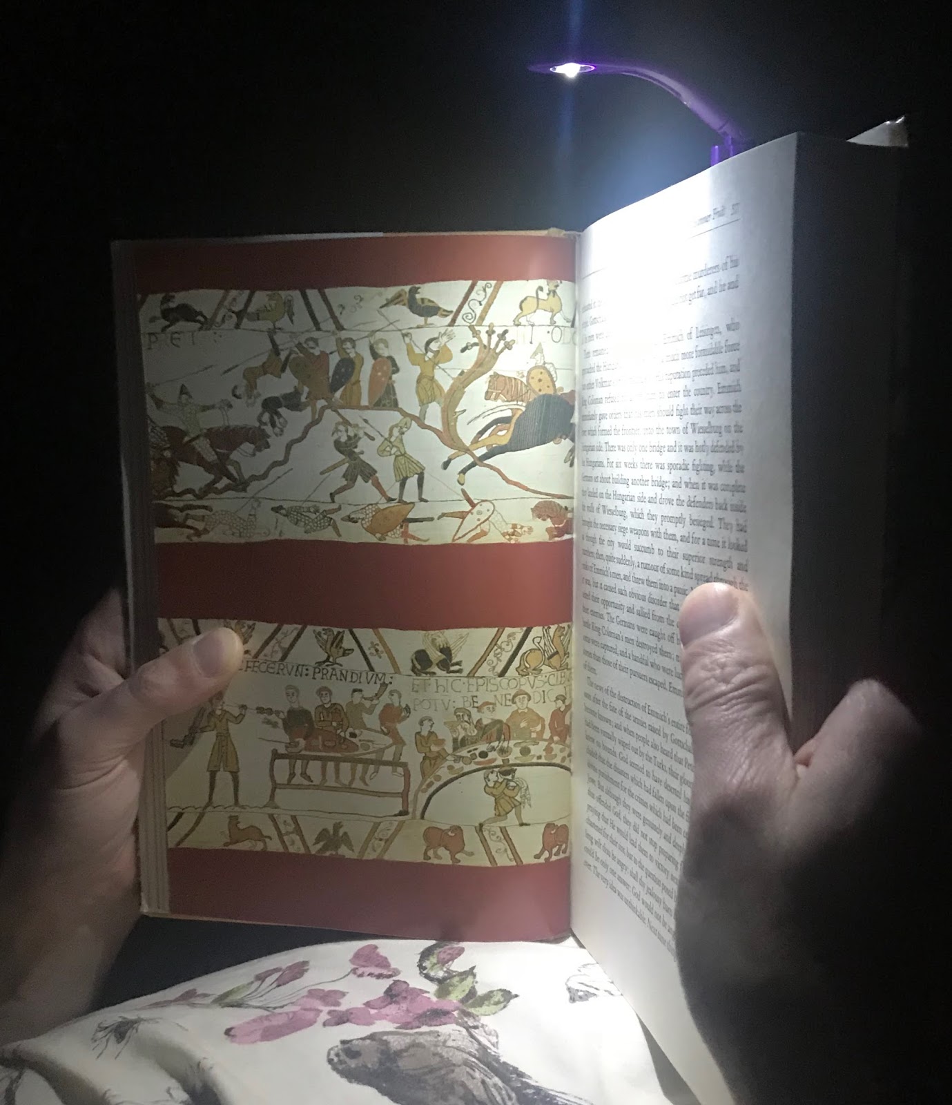 Really Tiny Book Light Review Mummy's Diary