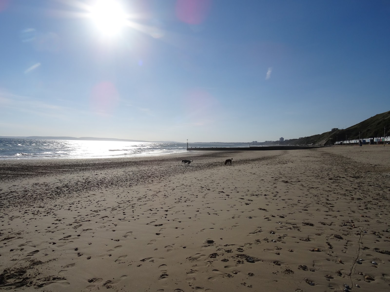 Another day, another walk Southbourne beach to Hengistbury head.