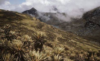 Cordillera Oriental de Colombia