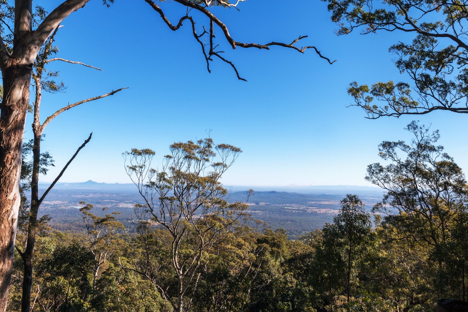 National Park Odyssey Tamborine Mountain, Tamborine National Park, QLD.