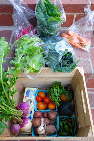image of summer farm share box with radishes, carrots, and plenty of greens