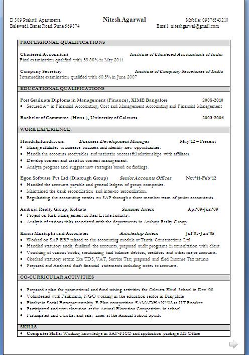 Excellent Resume Format in Word