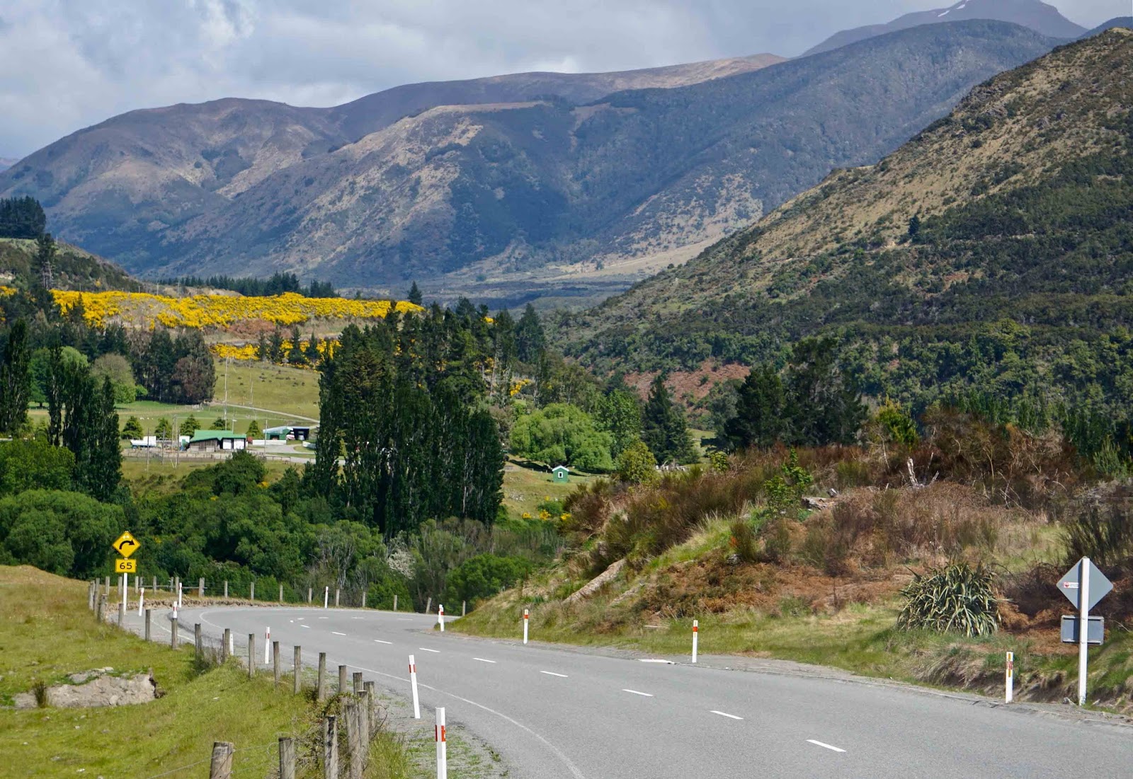 Along for the ride Nelson, New Zealand