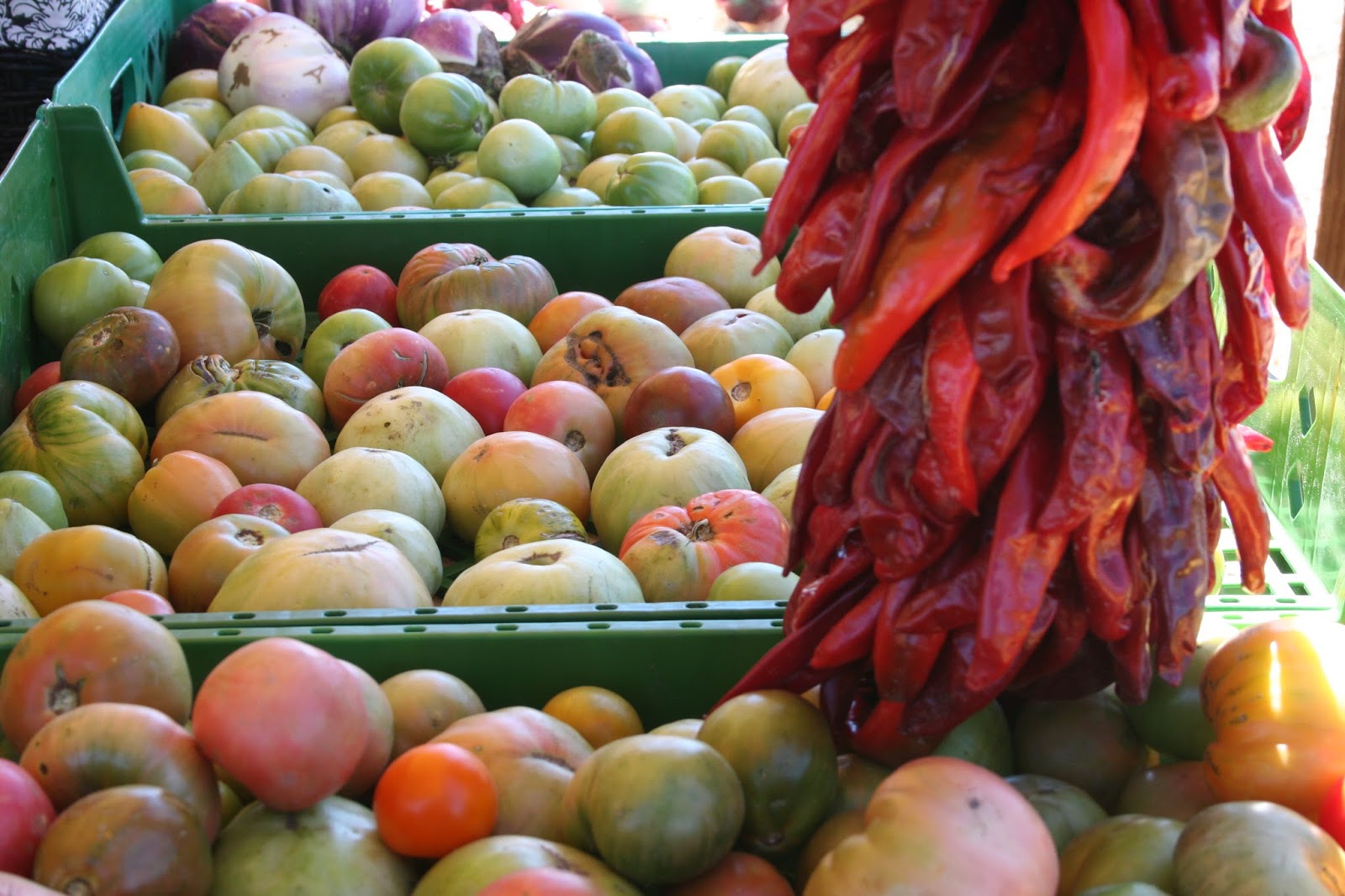 Española Farmers Market 2016