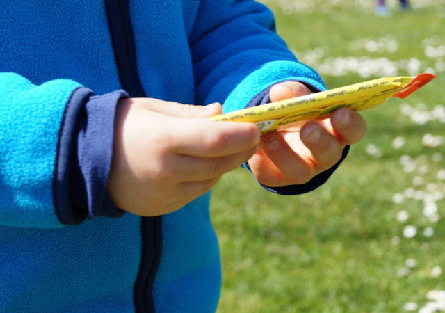 Vom Spielen, Schiffe gucken, Picknicken und Fähre fahren am Nord-Ostsee-Kanal. Picknick Bio Produkte Sesamstrasse: Leckere gesunde Snacks für Kinder Erwachsene ohne Zucker kein Zucker Früchte-Riegel Quetschies Tee Kekse Cookies Obst Gemüse Mix