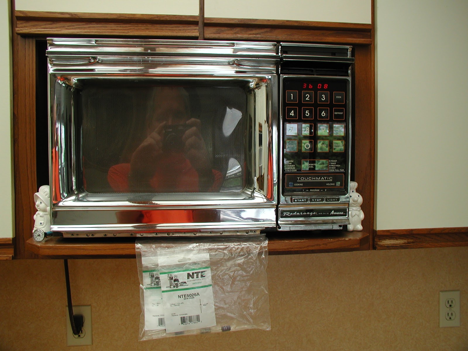 Wally&Sue Vintage Amana Microwave repair