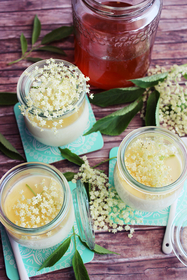 Holunder Honig Panna Cotta Holunder Honig Panna Cotta