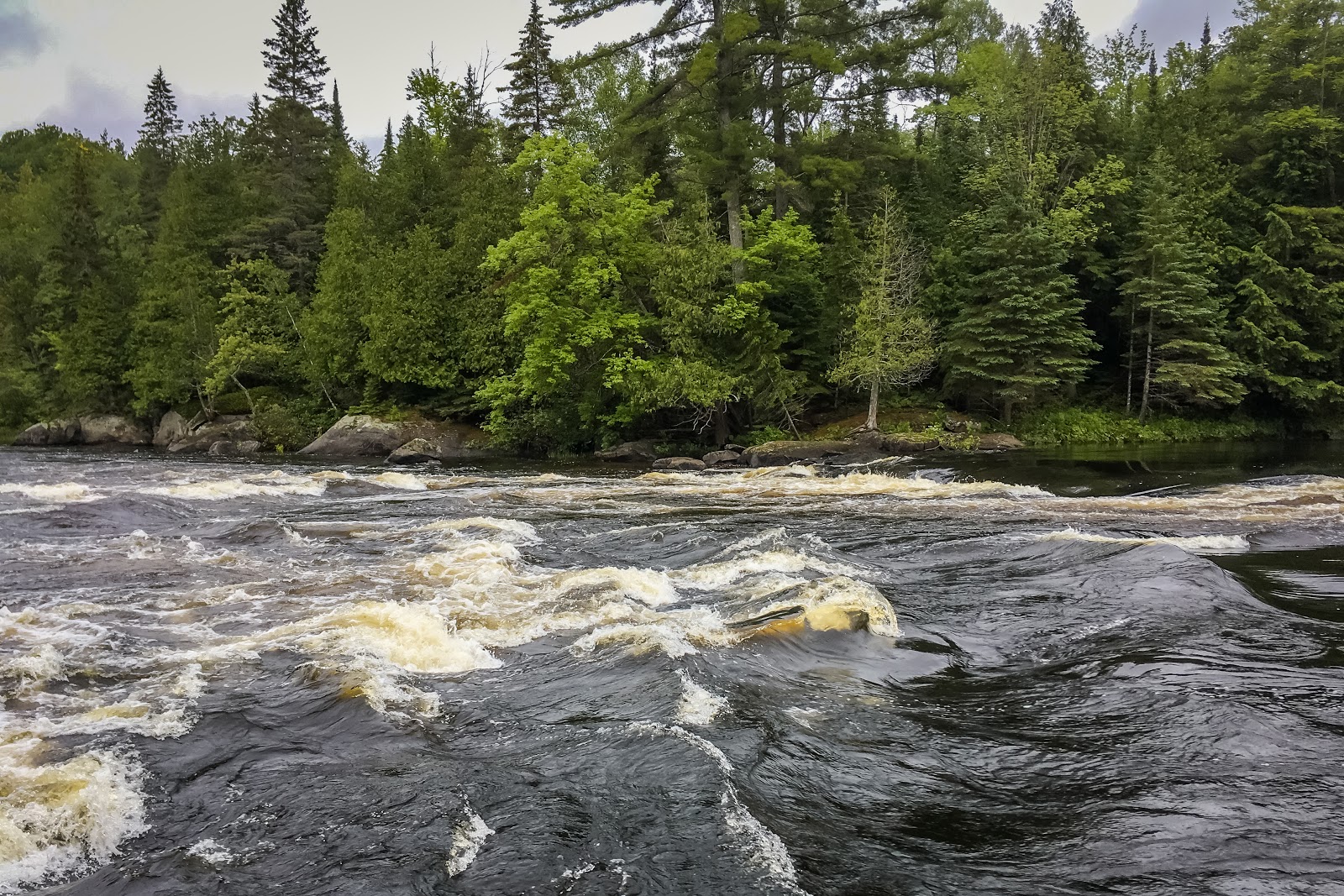 Whitewater Canoeing Down the Lower Madawaska River Explore the World