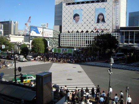 Paso de peatones en Shibuya vacío.