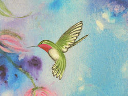painting hummingbird acrylic paintings hummingbirds essence abstract creations artful ful background rock