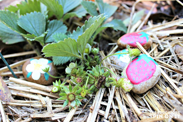 Art: painted strawberry stones. Day 5 of the Strawberry STEM Challenge!