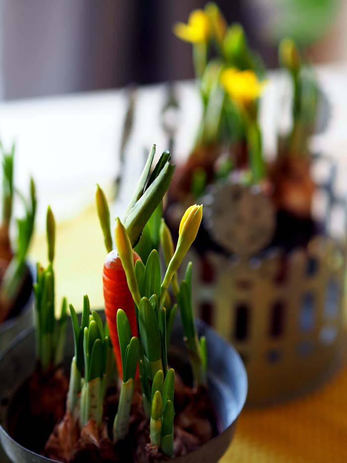 Lillevillan pääsiäinen