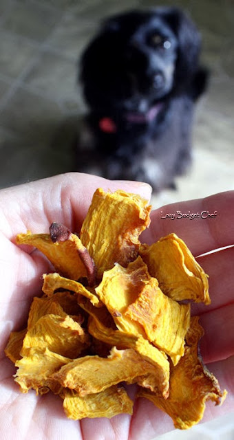 Dried pumpkin dog treat recipe