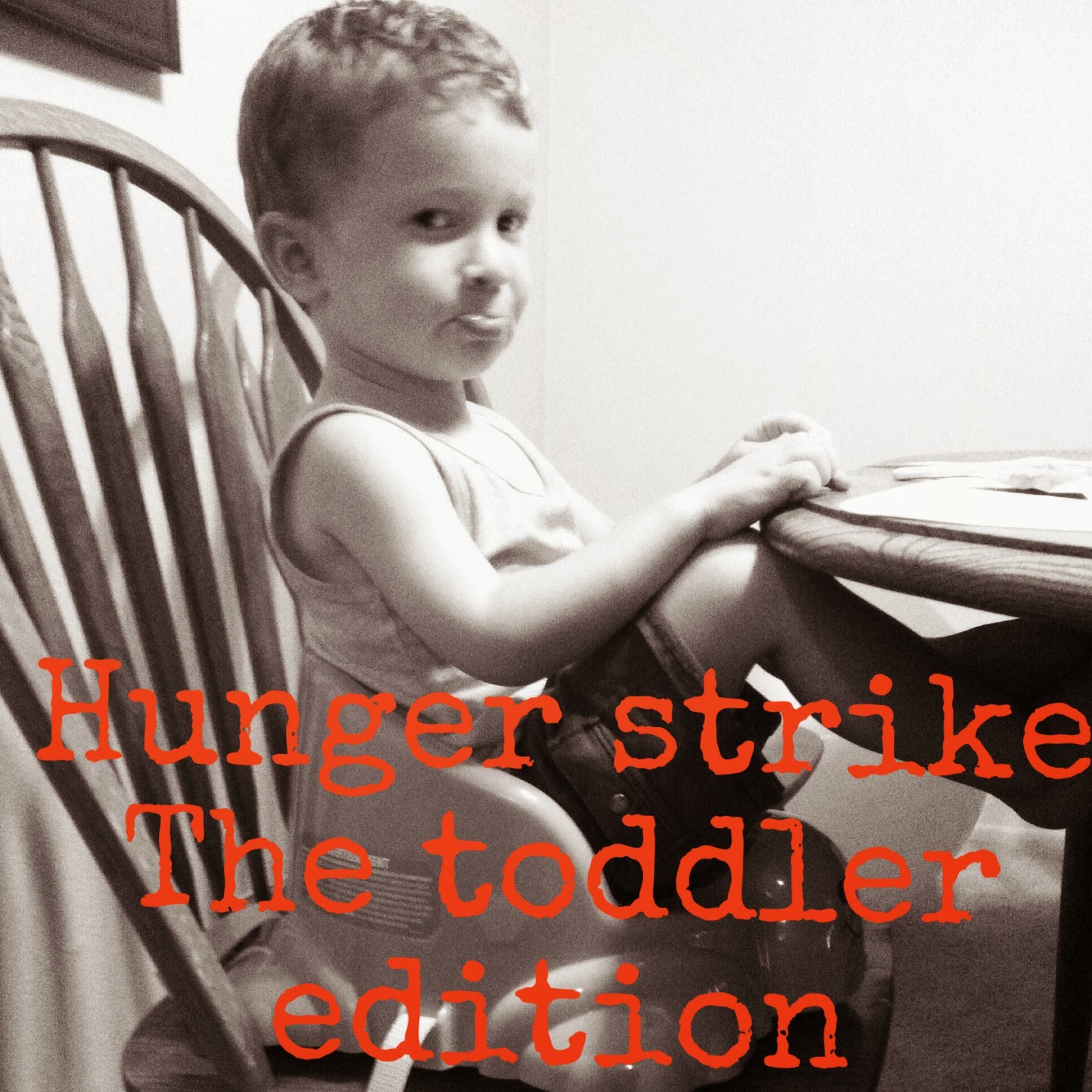 Food Fit for Kids Reasons Toddlers Stop Eating Well