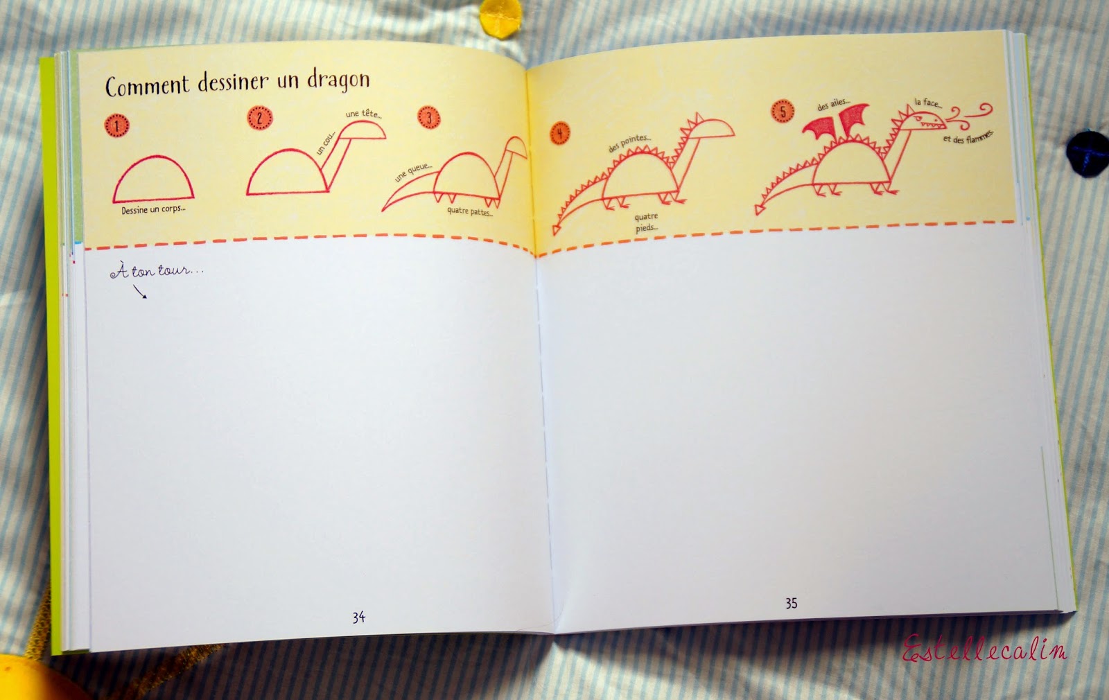 Un livre pour les parents qui ne savent pas dessiner ^-^