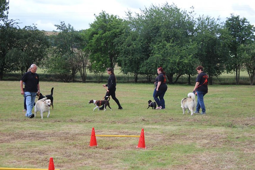 Tierbescherung Im Tierheim Ahrenshoft Kleintier Pension Garding