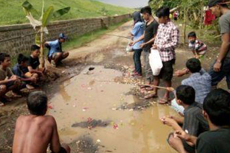 Paling Bagus 26+ Gambar Bunga Kembang Pulu - Gambar Bunga HD