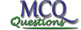 Computer MCQ Questions