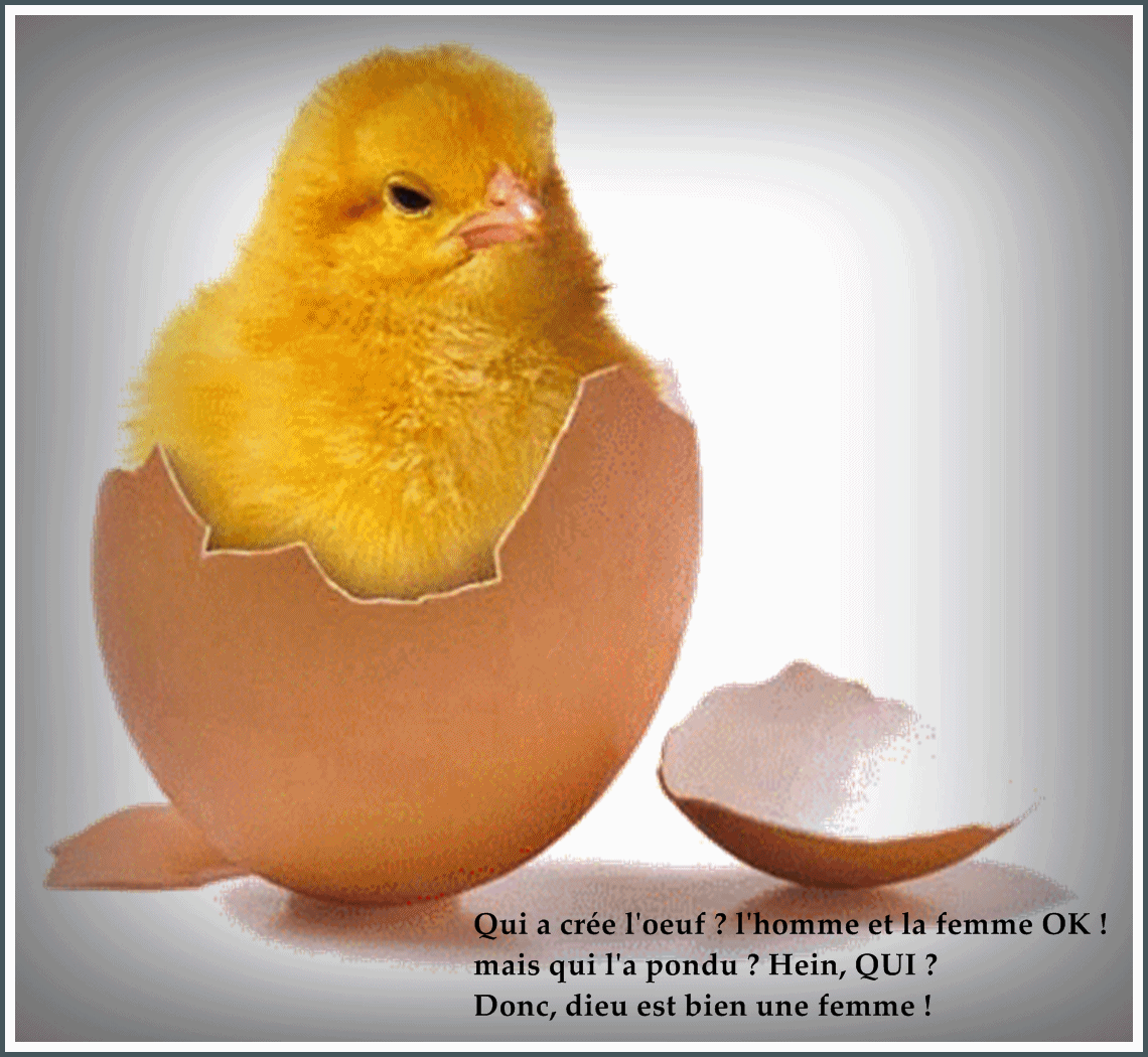 MUTINE NEWSY juillet 2013