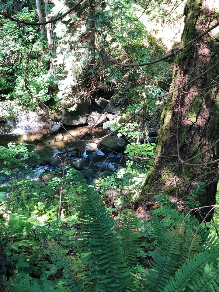 Getaway Guide 48 hours in Bellingham, Washington Sydney Loves Fashion