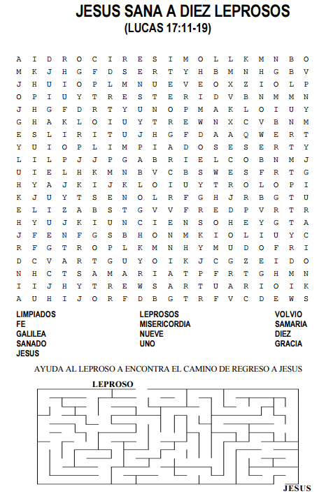 Libro Los Defectos De Los Santos PDF - LibrosPub