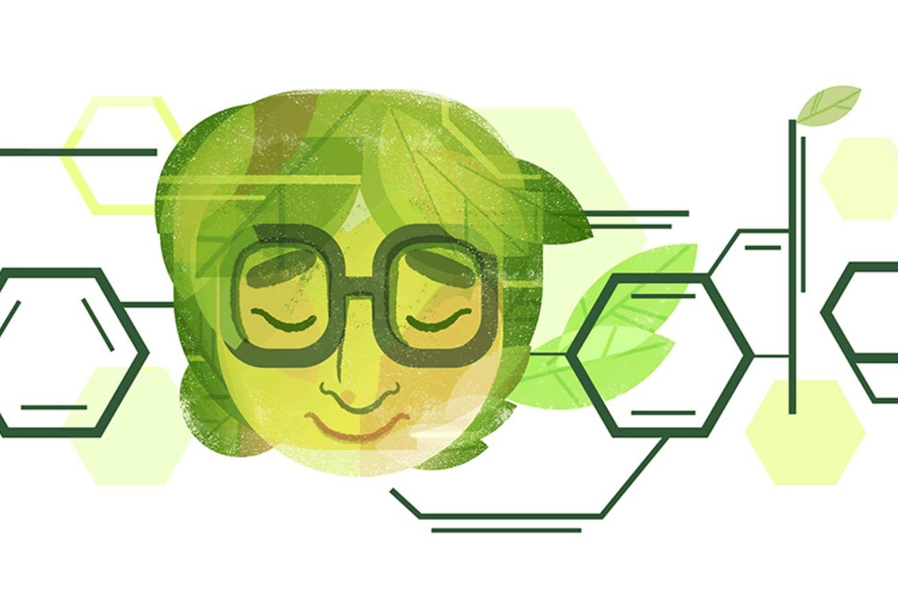 Akshay Raj Is Google Doodle Winner Qualitypoint Technologies Qpt