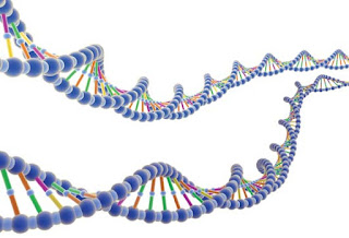 ilustrasi DNA