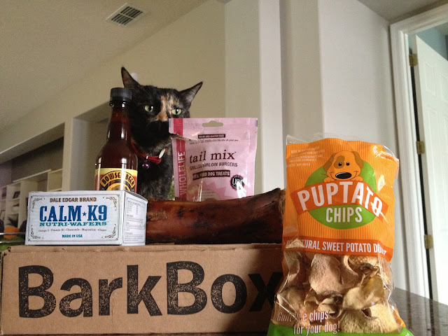 barkbox maple syrup toys inside