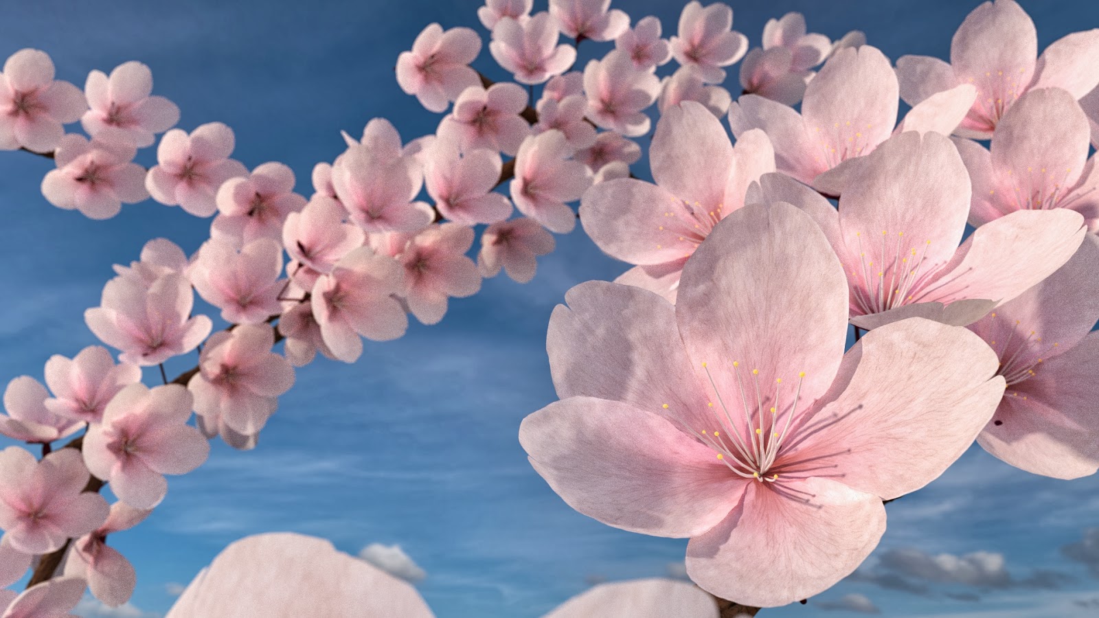 Artwork On Screen Cherry Blossom Model Blender / Render Engine Cycles