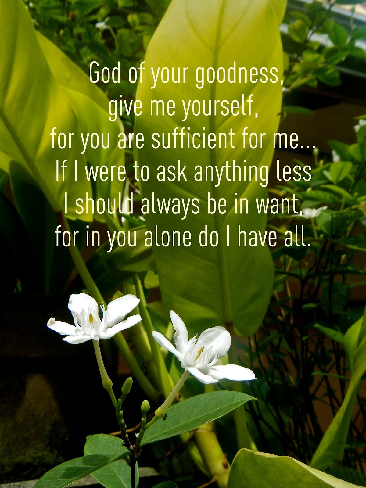 Flowery Blessing: ~Prayer of Guidance~ God of your goodness, give me