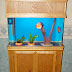 Custom made Aquarium Stands