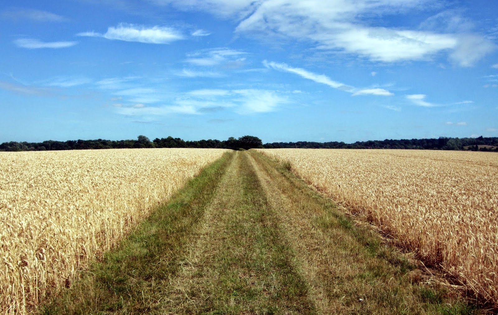 London underfoot London Countryway