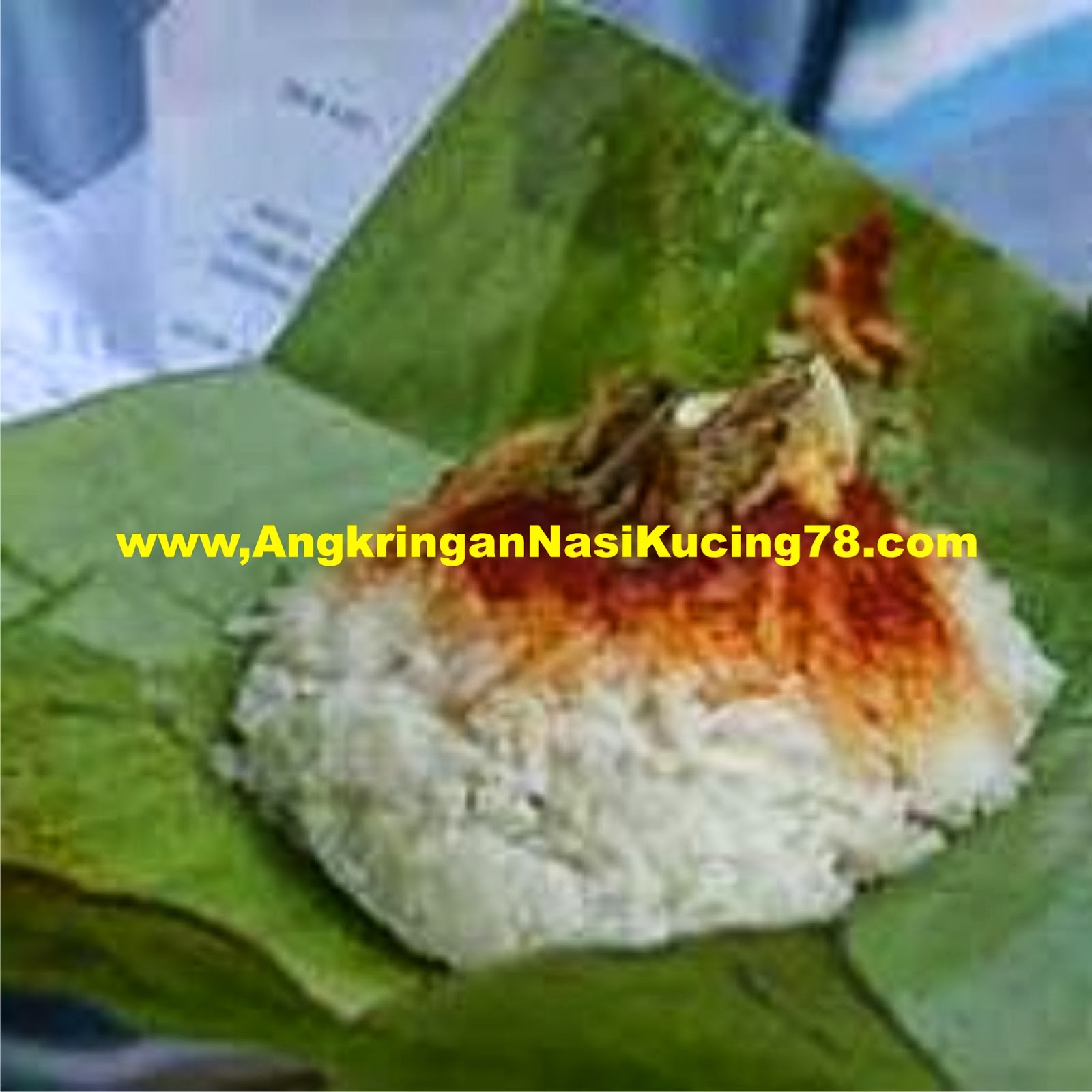 Angkringan Nasi Kucing 78 Tangerang Peluang Bisnis