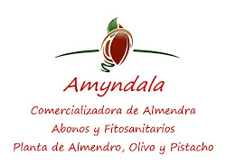 Amyndala Frutos Secos S.L.