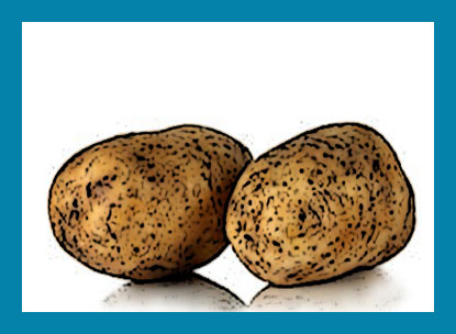 картошка. картофель 2 шт. несколько картофелин. картофель 2 шт. картофель.