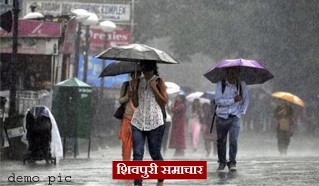 जिले में 325.96 मि.मी. औसत वर्षा दर्ज | SHIVPURI NEWS