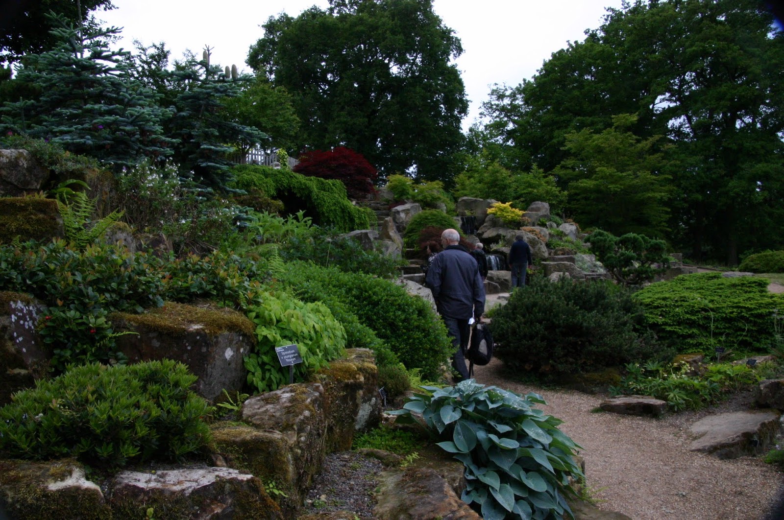 pieni-puutarha-liityimme-royal-horticultural-societyyn